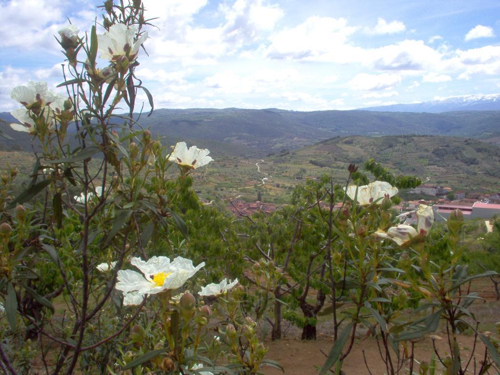 Hotel Rural Sierra De Francia Sotoserrano Exterior photo